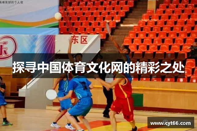 探寻中国体育文化网的精彩之处